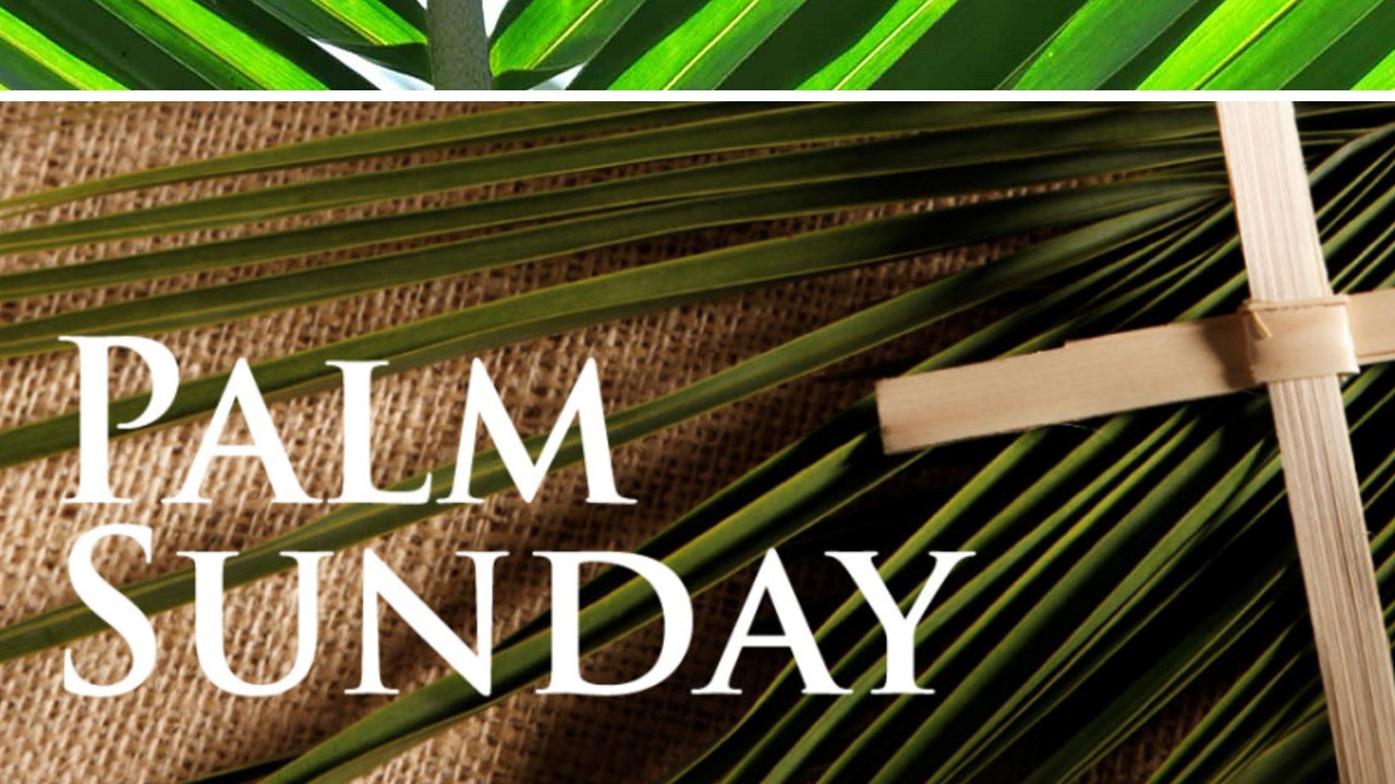 Palm Sunday - First Presbyterian Church